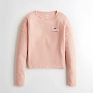 Hollister Pink Long Sleeve Crop Top XS